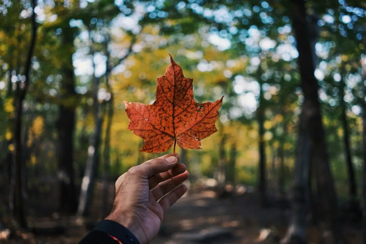 Family Holiday Ideas Everyone Will Enjoy