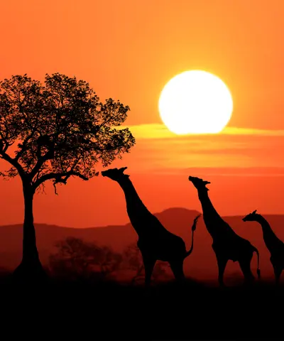 East African Islands
